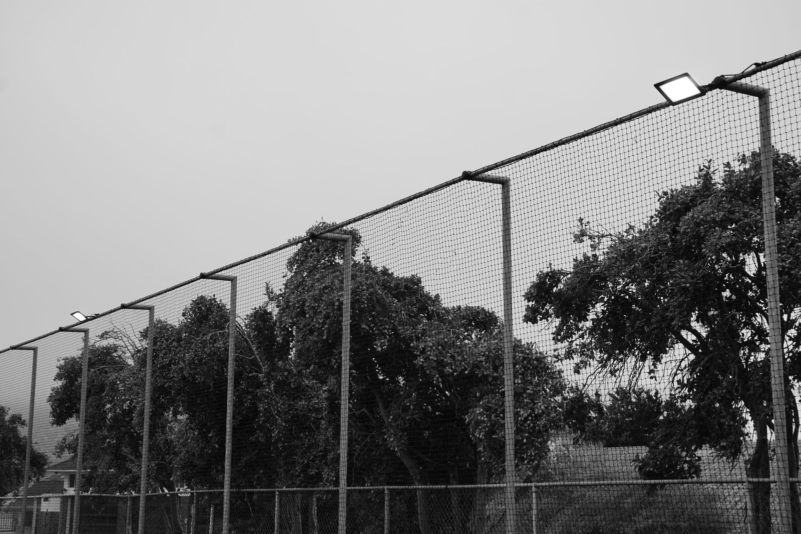 Diski Launch Update 2